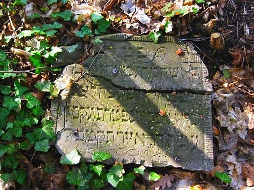cmentarz zydowski slubice