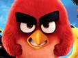 angry birds th