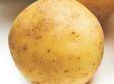 swieto ziemniaka th