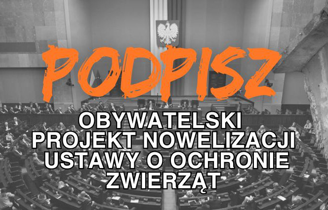 Projekt nowelizacji ustawy o ochronie zwierząt