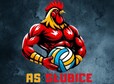 thumb as slubice logo