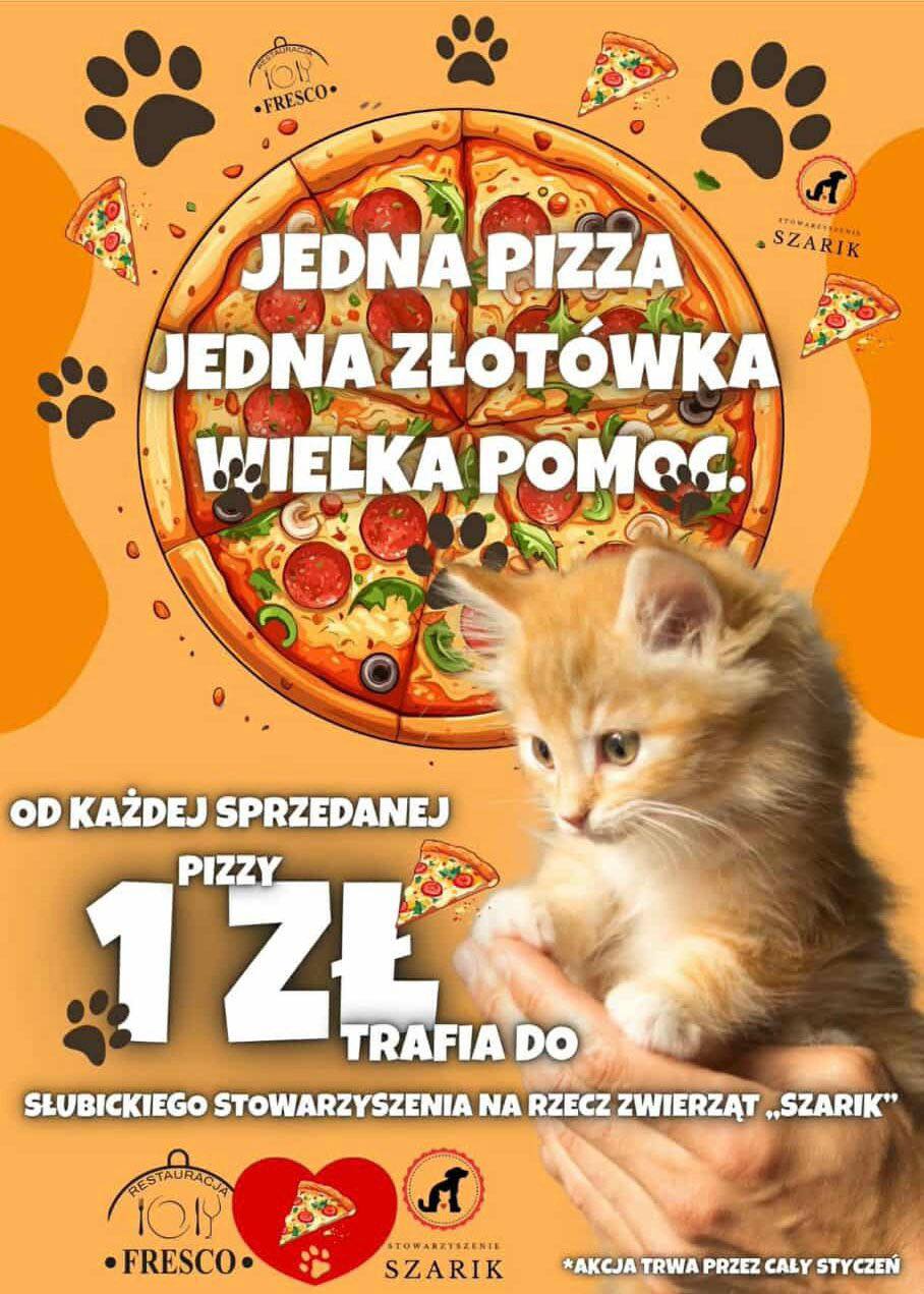 Restauracja Fresco wspomoże bezdomne koty