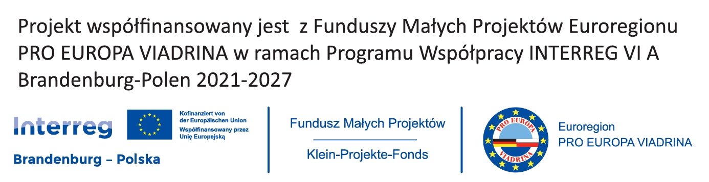 interreg euroregion logo