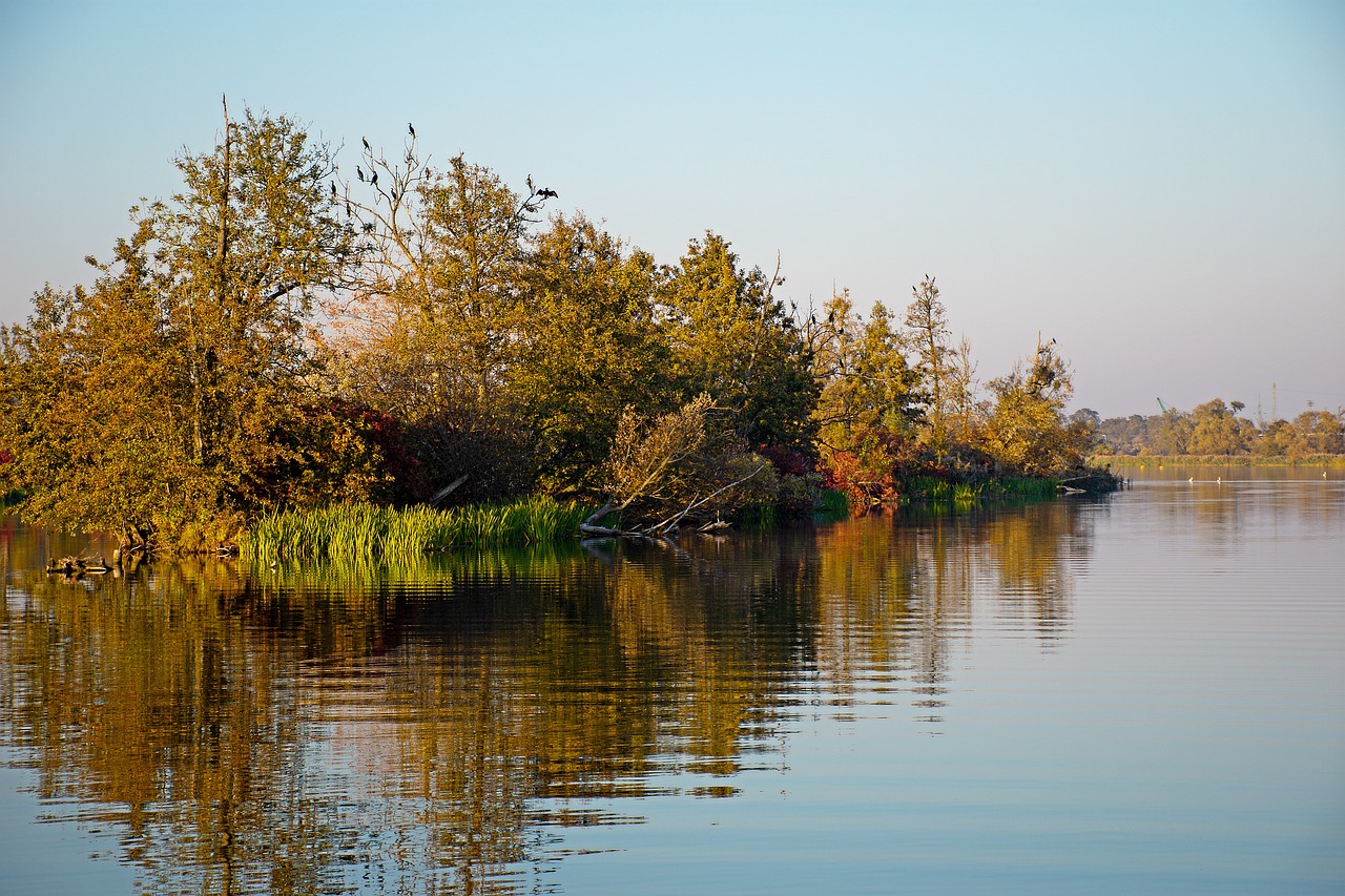 Nietypowa aktywność pod chmurką? Łowienie magnesem!