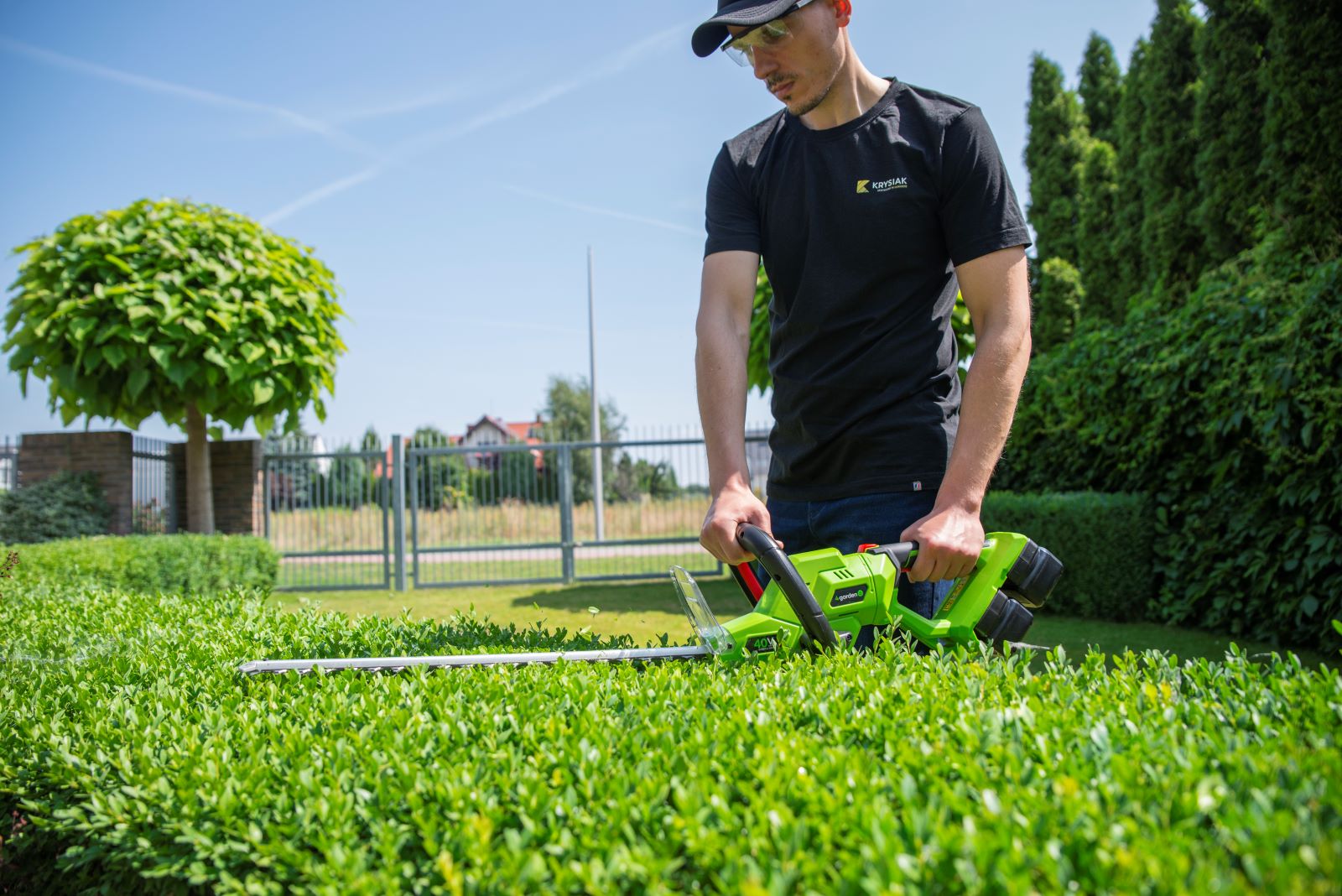 Kiedy i jak przycinać żywopłot, aby był gęsty i zdrowy?