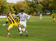 thumb polonia slubice zorza mostki 42
