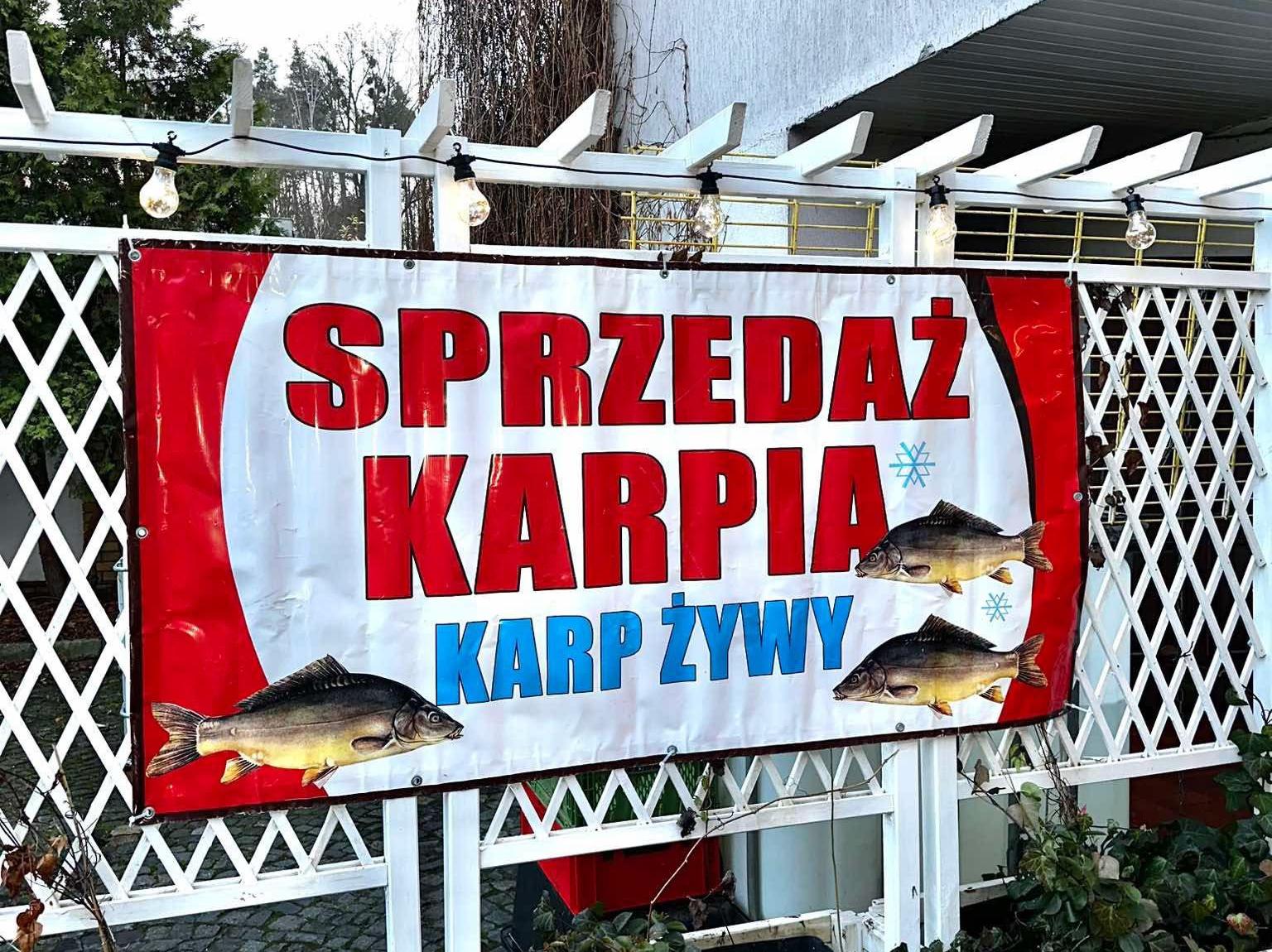 Świąteczna sprzedaż karpia! Ruszył punkt na parkingu przed SP 1 Słubice