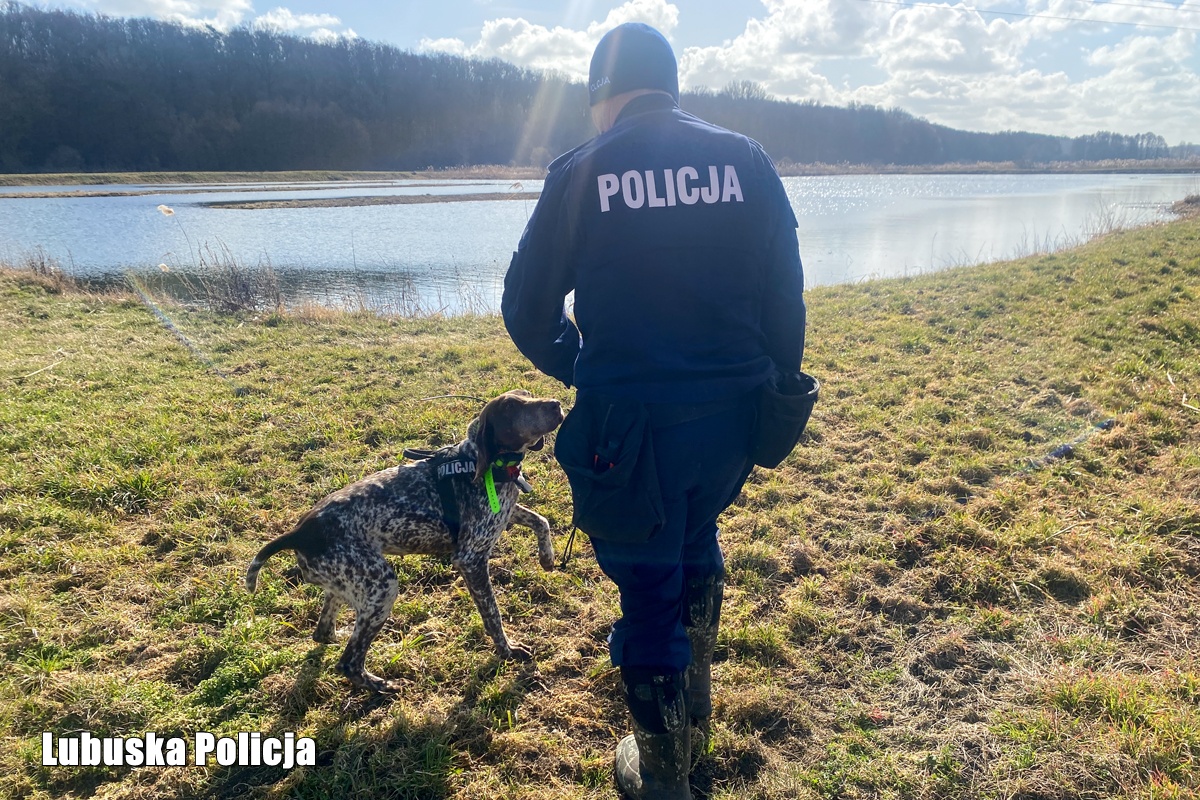Do poszukiwań policja wykorzystuje m.in. psy tropiące