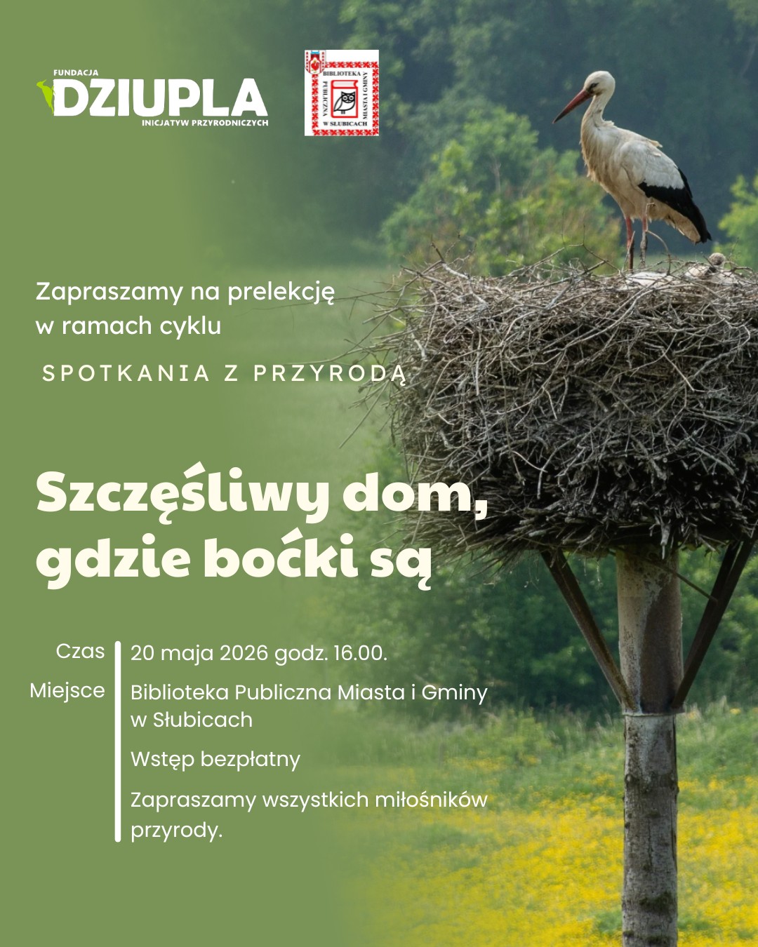 bociany dziupla