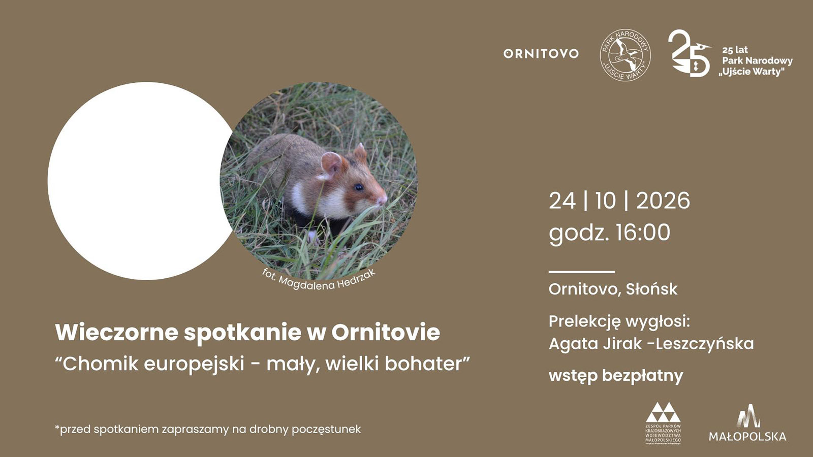 Chomik europejski bohaterem spotkania w Słońsku. Park Narodowy „Ujście Warty” zaprasza do Ornitova