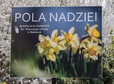 thumb pola nadziei slubice 2026 012