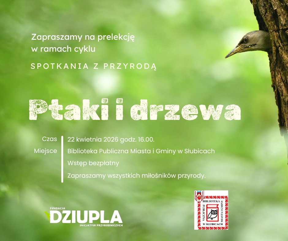ptaki i drzewa