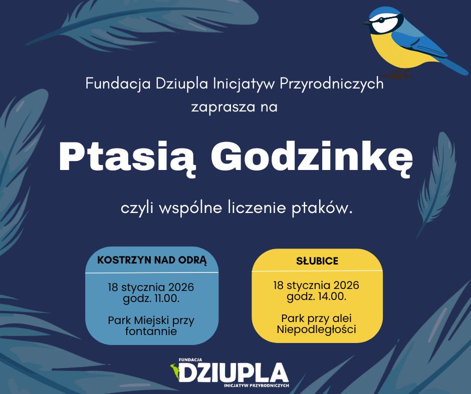 ptasia godzinka