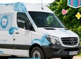 thumb dentobus rzepin sierpien