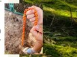 thumb survivalowa misja talenciaki