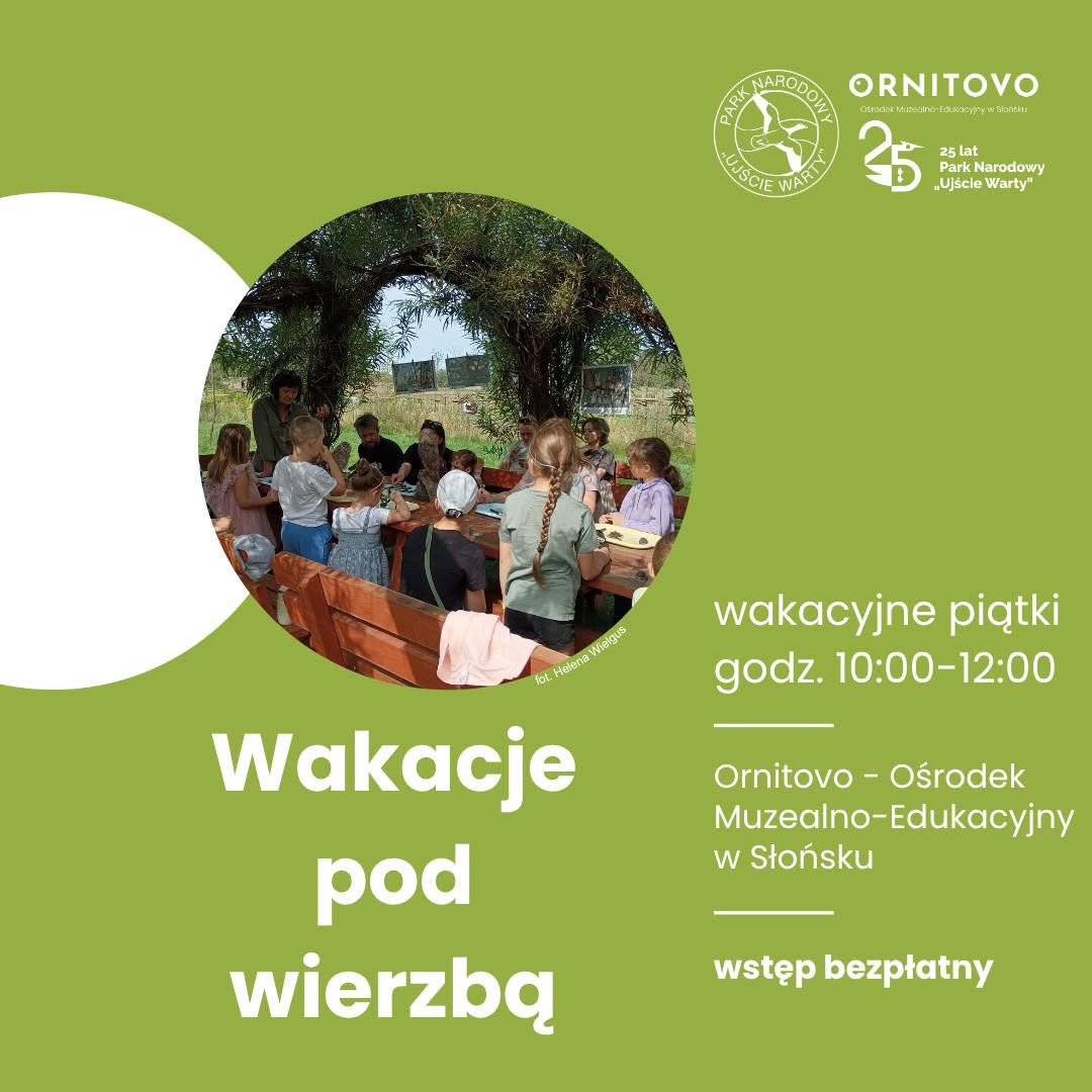 Wakacje pod wierzbą w Parku Narodowym „Ujście Warty”. Co piątek czekają bezpłatne warsztaty
