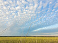 thumb chmury altocumulus slubice 006