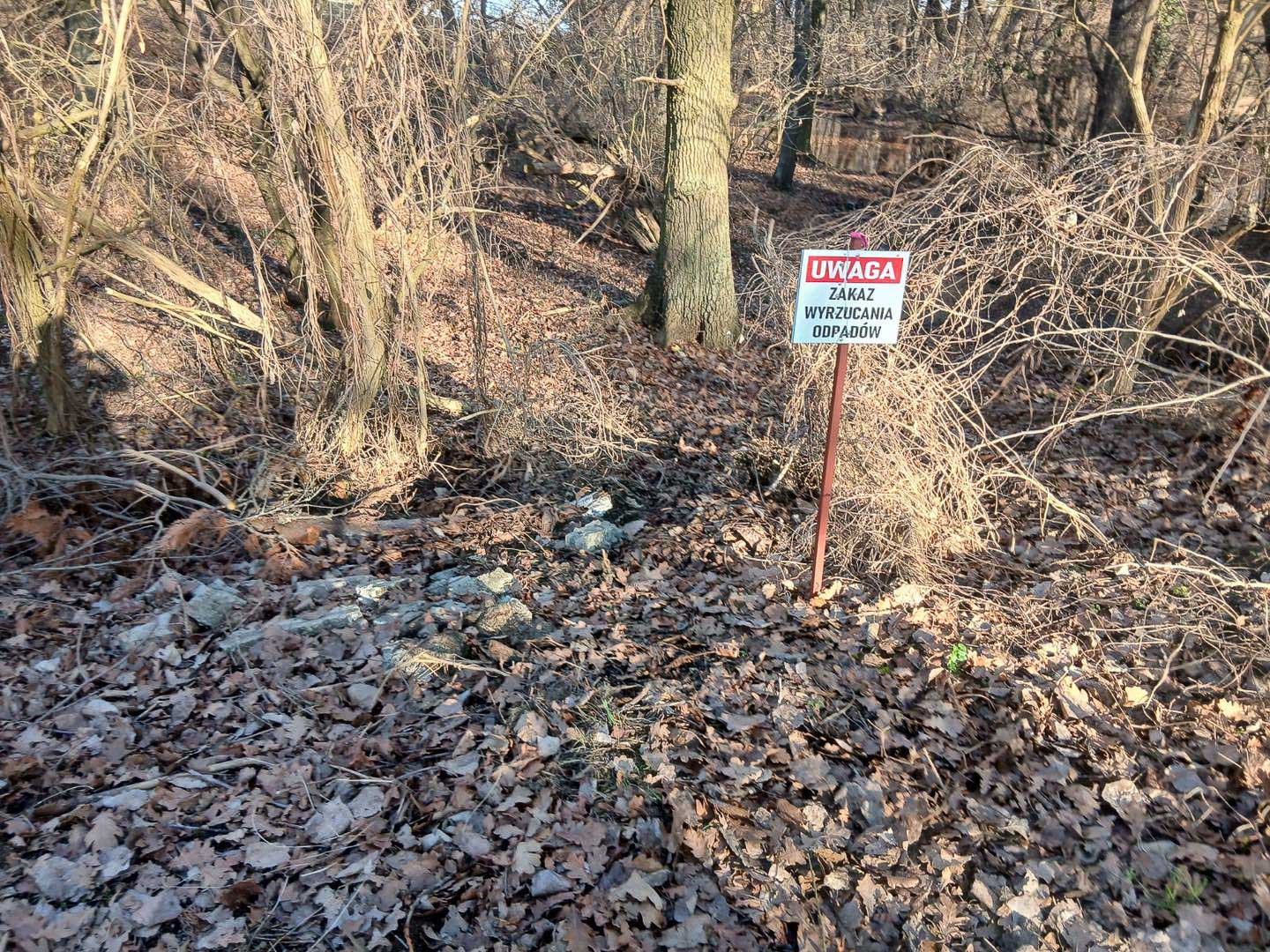 PUK posprzątał dzikie wysypisko w rezerwacie „Łęgi koło Słubic”