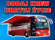 thumb zbiorka krwi cybinka sierpien