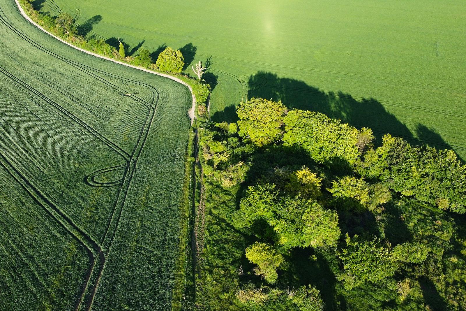 Skąd wziąć numer działki? Praktyczny poradnik